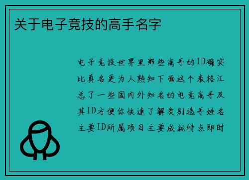 关于电子竞技的高手名字
